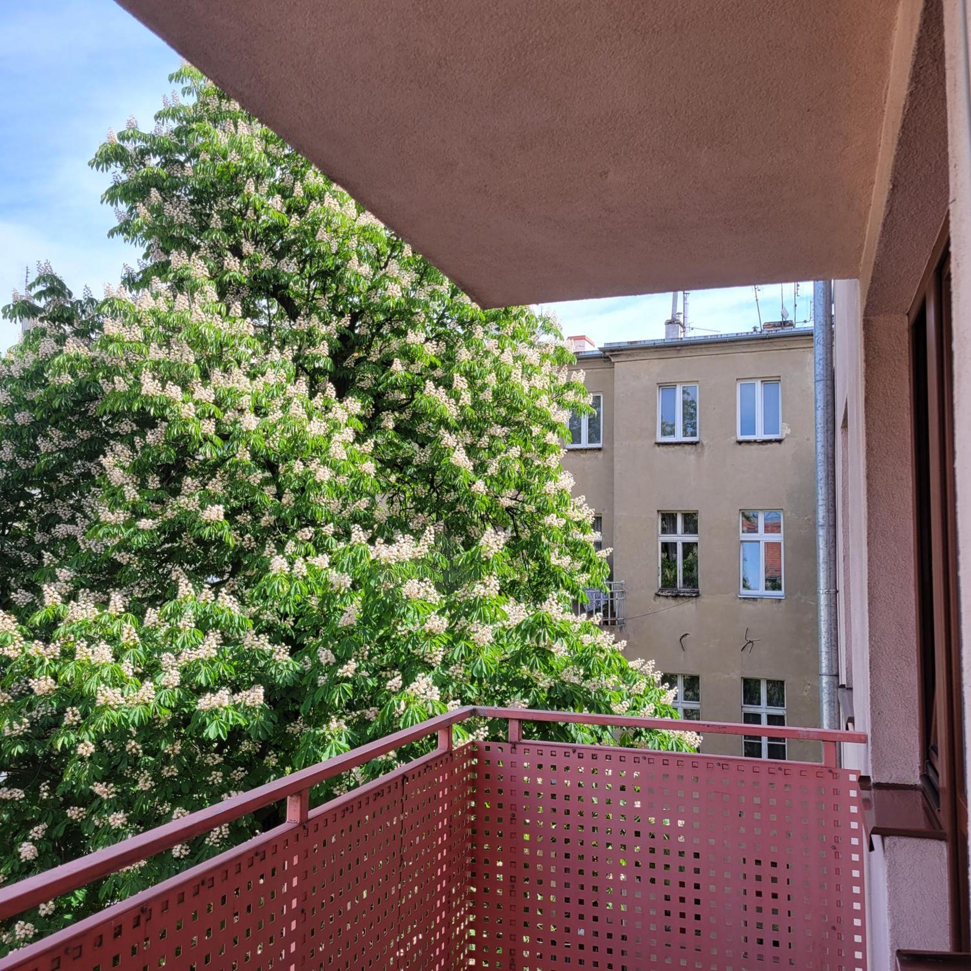 Cozy Apartment 브로츠와프 외부 사진